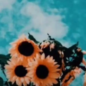 Meet your Posher, Payton